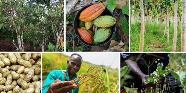 Agriculture